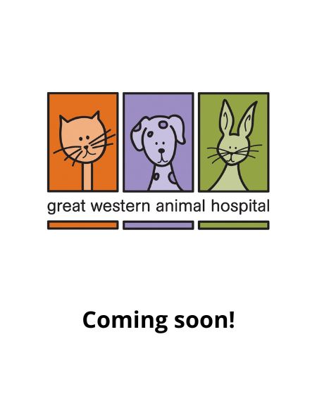 Pendle Hill, NSW 2145 Veterinarians | Great Western Animal Hospital
